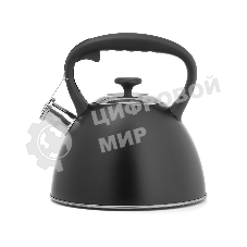 Чайник для плиты Lara LR00-74 3 л, нержавеющая сталь, черный матовый