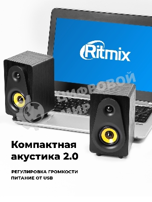 Портативная колонка Ritmix SP-3040W
