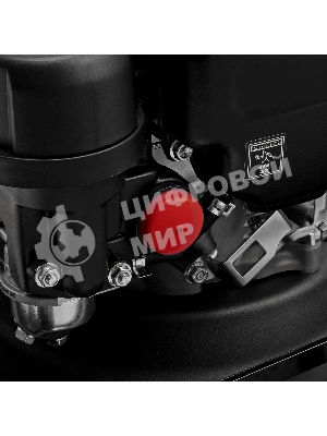 Газонокосилка бензиновая Denzel GLR-510SP-ZS, 171 см3, ширина 51 см, привод, травосборник 65 л