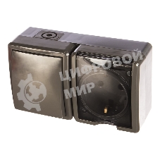 Блок ОП розетка+выключатель ЭРА 11-7401-03 16АХ(10AX)-250В IP54 Эксперт сер.