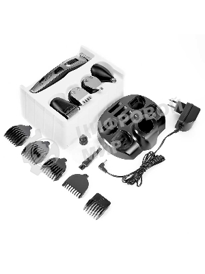 Набор для стрижки и бритья DELTA LUX DE-4201A черный