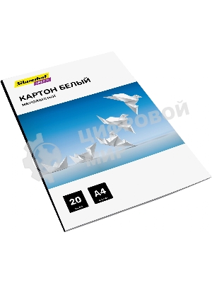 Картон белый Silwerhof мелованный 20л. A4 Create 240г/м2 обл.мел.картон ПЭТ 200x280мм