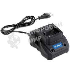 Зарядное устройство Hyundai HYCH 2001