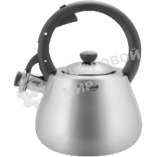 Чайник Rondell Admiring RDS-1898 2.8л