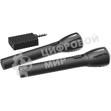 Микрофон Ritmix RWM-302 черный