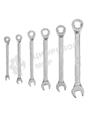 Набор ключей комбинированных трещоточных Denzel 6-17 мм, 6 шт., CrV, матовый хром