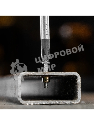 Заклепки резьбовые Denzel стальные, оцинкованные, М3, пластиковый кейс, 200 шт.