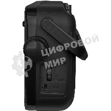 Радиоприемник Ritmix RPR-303, черный