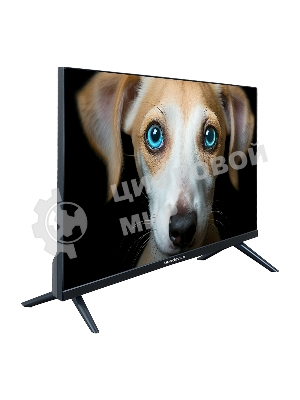 Телевизор Topdevice 24