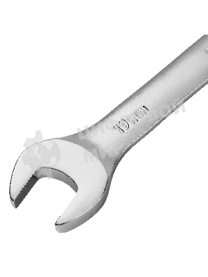 Набор ключей комбинированных трещоточных Denzel 6-19 мм, 12 шт., CrV, матовый хром