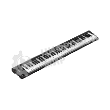 MIDI клавиатура 110105A2032 Icon Artist 88