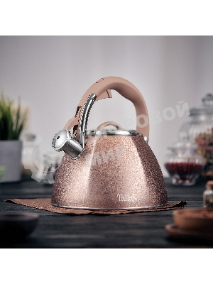 Чайник для плиты TALLER TR-11354 Айгрет 3 л