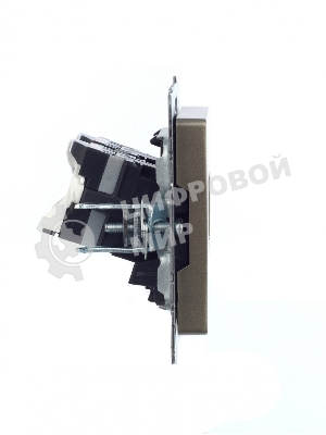 Розетка компьютерная двойная IEK BRITE РК10-2-БрШ (BR-K20-1-K37) СП RJ45 кат.5E шампань