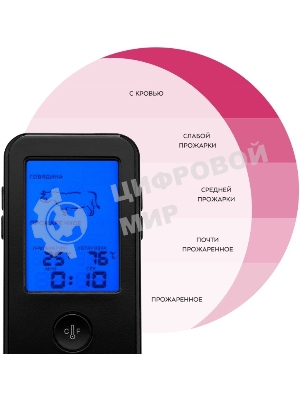 Термощуп Kitfort КТ-2067 черный