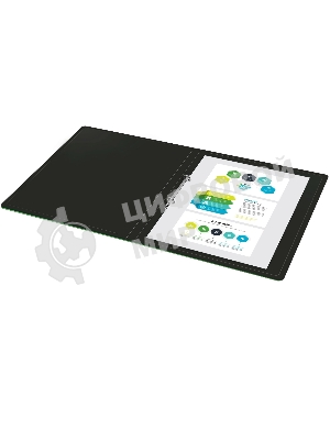 Папка на 2-х кольцах Silwerhof Eco A4, пластик, 0.5мм, черный