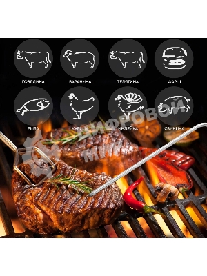 Термощуп Kitfort КТ-2067 черный