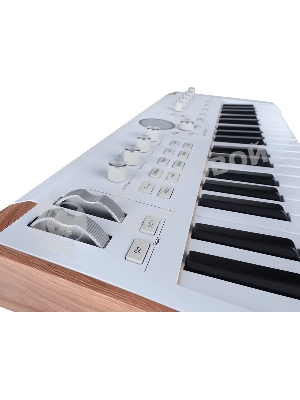 Сценическая клавиатура 230721 Arturia AstroLab 37 White Astrolab White 37 клавиш, полувзвешенная механика, 10 звуковых движков, вокодер, 10 кнопок пресетов, 4 макрорегулятора, MIDI-вход, USB-C и USB-A; аудио Bluetooth; WiFi, цвет белый