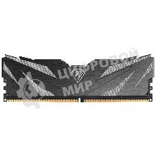 Оперативная память Netac Shadow II, DDR5, 16Gb (1x16 GB), 6000 MHz, CL38, DIMM, радиатор, черный