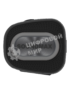 Портативная колонка SOUNDMAX SM-PS5019B черный