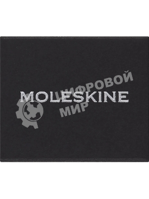 Шильд-символ Moleskine Zodiac Стрелец, металл, серебристый, коробка с европодвесом, PINSAGITTARIUSSILV