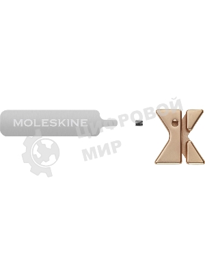 Шильд-символ Moleskine Zodiac Рыбы, металл, золотистый, коробка с европодвесом, PINPISCESGOLD