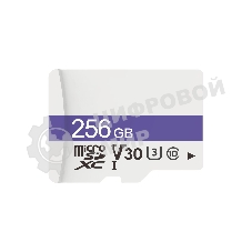 Флеш карта Dahua DHI-TF-C100/256Gb C100 microSD Read 95 MB/s C10/U3/V30 256 Gb
