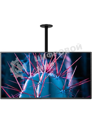 Кронштейн для телевизора Cactus CS-CP07 черный 23