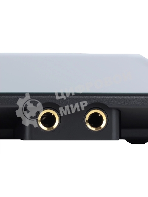 Аудиоинтерфейс USB 110313A3002 Icon Touch 8 24 бит/192 кГц.