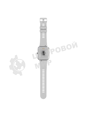 Умные часы Maxvi SW-02 grey