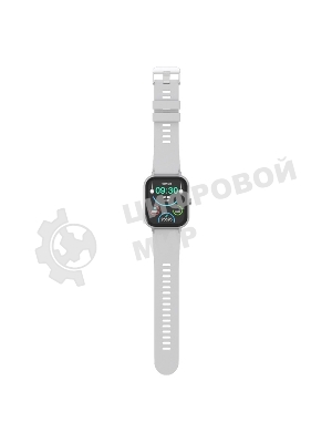 Умные часы Maxvi SW-02 grey