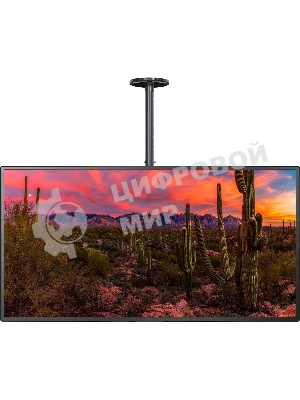 Кронштейн для телевизора Cactus CS-CP04-R черный 37