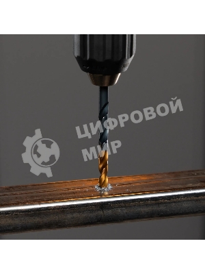 Сверло по металлу Denzel 6 мм, HSS-Tin, Golden Tip, 10 шт.
