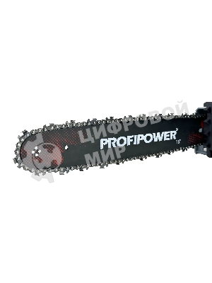 Пила цепная ProfiPower EC-2200, 16