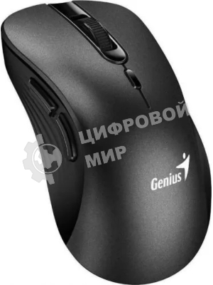 Мышь беспроводная Genius Ergo 8100S черный, 1600 dpi, радиоканал, USB, кнопки - 6