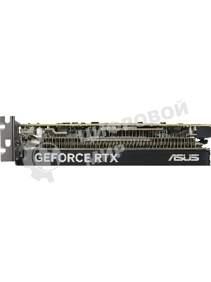 Видеокарта Asus GeForce RTX 5060 LP BRK, NVIDIA RTX 5060, 8Gb, GDDR7, 128 bit, PCI-E 5.0, HDMIx2, DPx1, HDCP, 2580 MHz