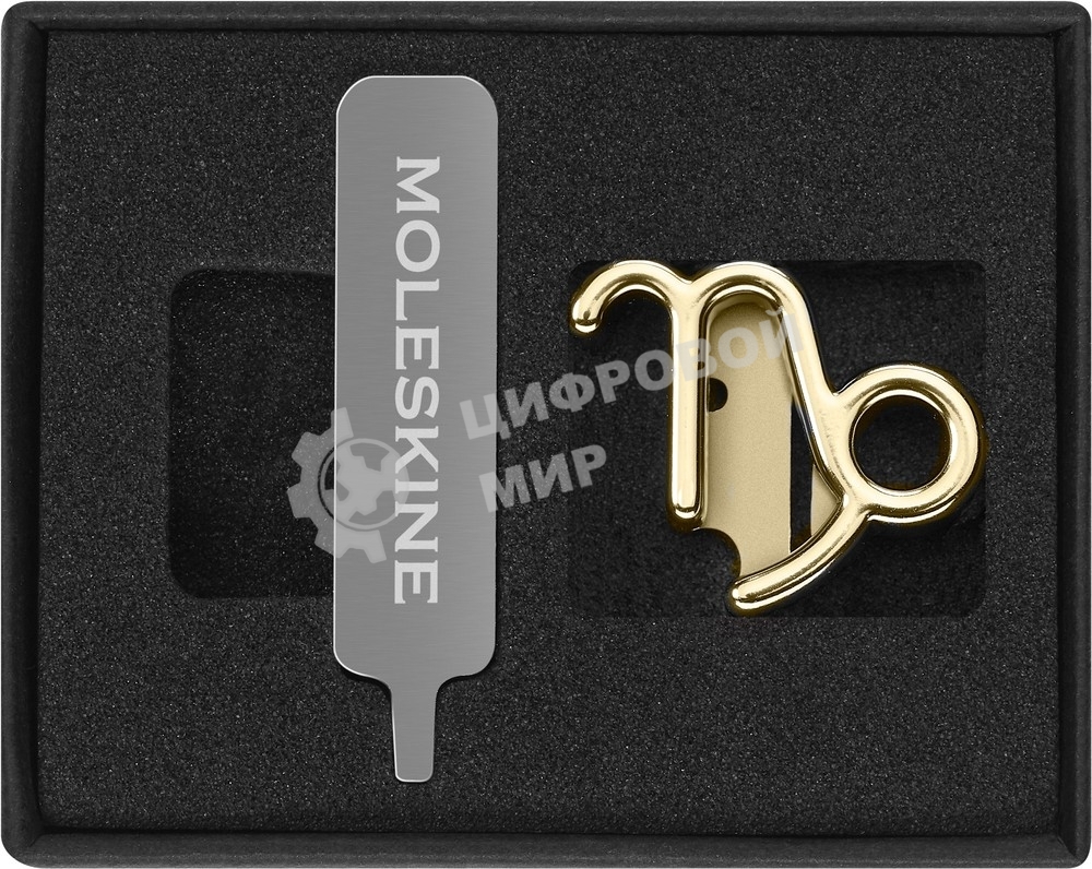 Шильд-символ Moleskine Zodiac Козерог, металл, золотистый, коробка с европодвесом, PINCAPRICORNGOLD