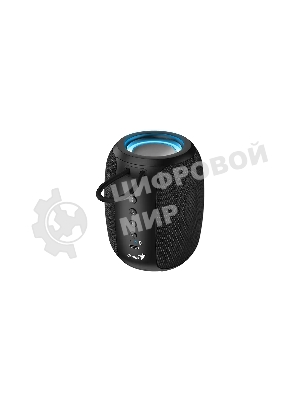 Портативная колонка Genius SP-915BT/1200 мА·ч/5 Вт/Bluetooth 5.3/до 6 ч.воспроизведения/USB-C/черный