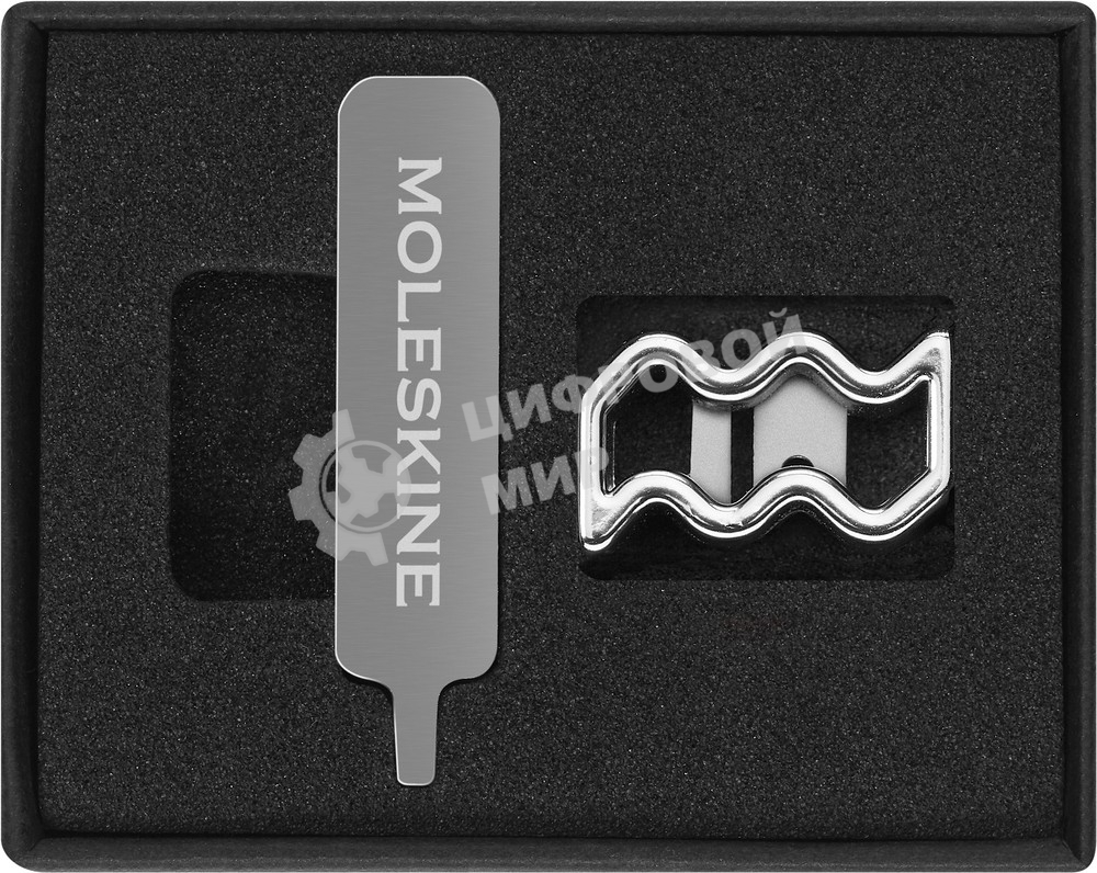 Шильд-символ Moleskine Zodiac Водолей, металл, серебристый, коробка с европодвесом, PINAQUARIUSSILV