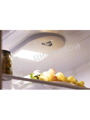 Холодильник Nordfrost NRB 124 W белый двухкамерный 238/70 л морозилка снизу