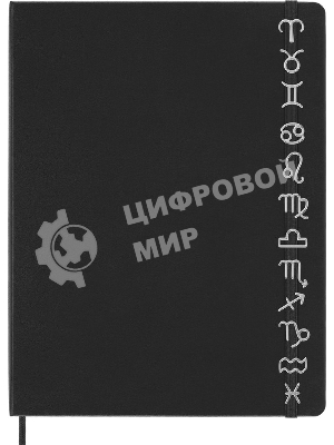 Шильд-символ Moleskine Zodiac Водолей, металл, серебристый, коробка с европодвесом, PINAQUARIUSSILV