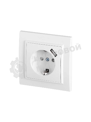 Розетка EKF Минск ERR16-028-100-USB 1-местная СП с/з с защитными шторками 16А белая с USB 1А