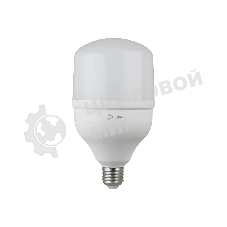 Лампа светодиодная ЭРА Б0027002 STD LED POWER T100-30W-2700-E27