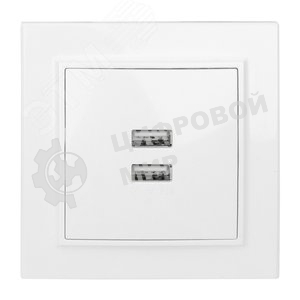 Розетка EKF ERR-2USB-100 Минск USB 2-местная СП 2,1А белая