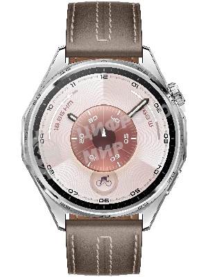 Умные часы Huawei GT 6 ATM-B19 55020FWE серый