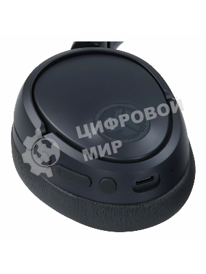 Гарнитура JLab JBuds Lux ANC Duo Graphite чёрный, беспроводная, Bluetooth/радиоканал/USB-C, ANC, до 40 ч (70 ч без ANC)