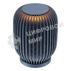 Умная колонка Sber SberBoom, 40Вт, стандартная, 1 динамик, Мультирум, Стереопара, Wi-Fi, Bluetooth 5.0, Салют, темно-серый