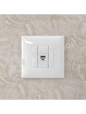 Розетка компьютерная DKC 4400663 1-м СП Avanti 