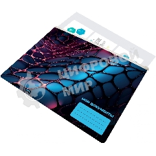 Папка на молнии ZIP Silwerhof Web A4+ ПВХ 0.25мм