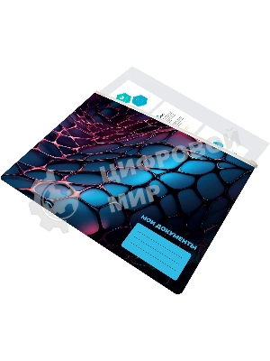 Папка на молнии ZIP Silwerhof Web A4+ ПВХ 0.25мм