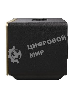 Колонка портативная JBL Authentics 500 черный 270W 1.0 BT (JBLAUTH500BLKUK)